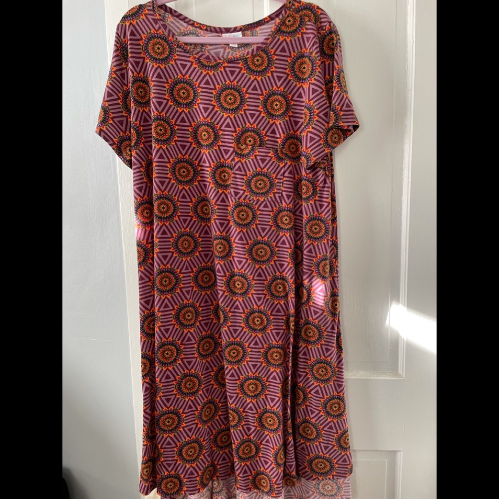 LuLaRoe Carly - Great Deal!